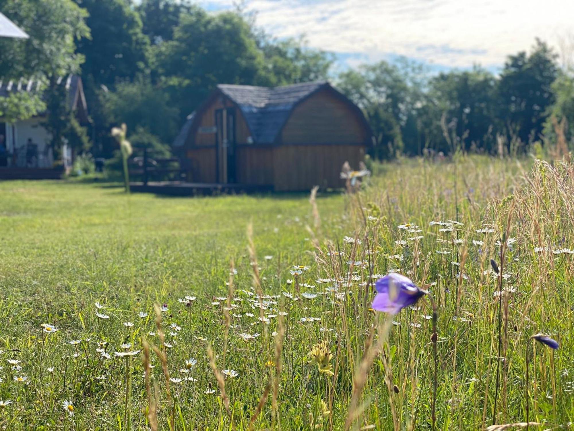 Kaespri Farmstay Koguva Εξωτερικό φωτογραφία