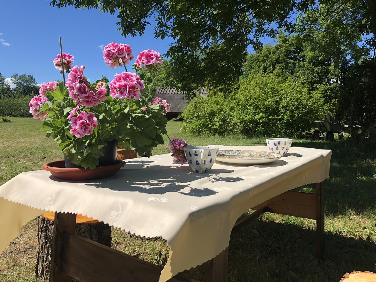 Kaespri Farmstay Koguva Εξωτερικό φωτογραφία
